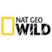 Nat. Geo. Wild